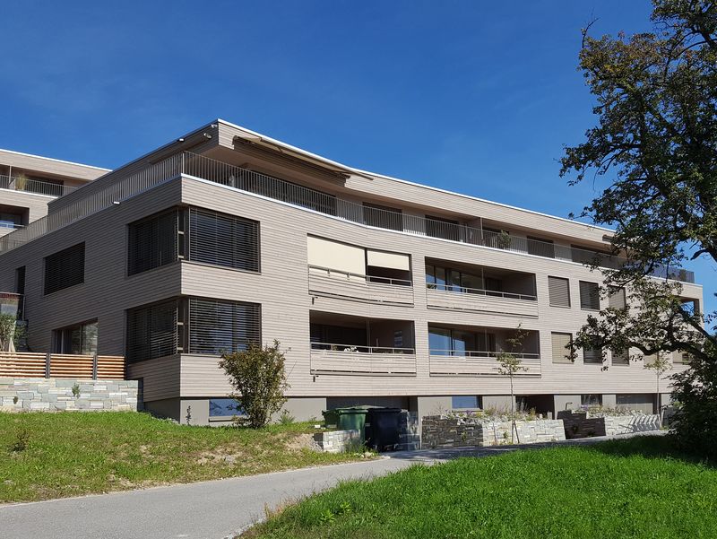Holzfassade der am Hang liegenden Wohnsiedlung Obstgarten Mettmenstetten